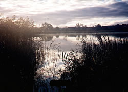 Sonnenaufg&auml;nge in MeckPomm