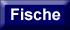 Fische der Region